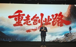 卢伟冰四个字总结2024年度小米中国区：极其出色！