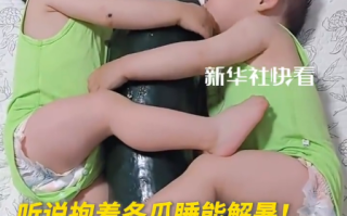 中医推荐夏日降暑奇招：抱冬瓜睡觉！含水量高达96% 洗净不削皮!