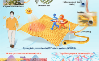 天津大学研发出神奇织物：光照12秒就能升至40℃！