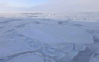 研究：南极地区海底甲烷渗出速度惊人 全球变暖风险加剧！