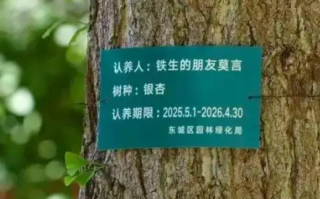 莫言真的在地坛认养了一棵银杏树！