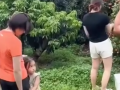 全红婵回家摘荔枝 家人一起画面太温馨了！
