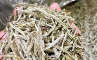 福鼎白茶的最佳产区（福鼎白茶产地的最佳地区在哪里）