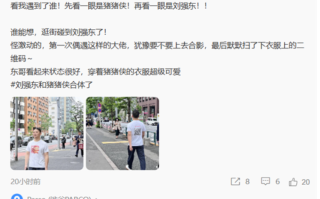 刘强东穿猪猪侠衣服在日本被偶遇 网友：超级可爱！