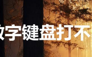 电脑数字键盘打不出数字怎么解锁（电脑为什么数字打不出来）