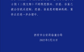 官方通报男子跳至兵马俑三号坑：造成二级文物两尊铠甲武士俑损坏！