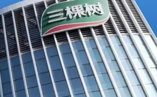 涂料巨头三棵树被恒大搞得钱房两空 到底怎么回事？