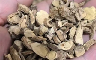 男子煎服15克山豆根中毒 医生：不能盲目相信偏方！