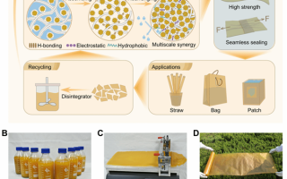 武大新突破 三种天然物质造出“可降解塑料”：防水又强韧 !