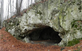 骇人发现！最新研究：18000年前人类食人脑行为惊现证据！