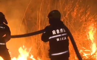 女子乱扔烟头致芦苇荡起火 依法行政拘留10日！