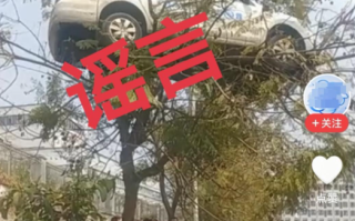 四川某驾校教练车开上树?谣言!