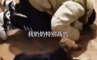 男生给奶奶磕头拜年 小狗在旁模仿引众人大笑！