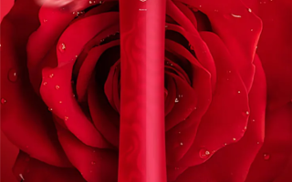 董明珠称玫瑰空调创历史记录 有酒店生意变巨好 顾客专门因玫瑰空调冲进来吃饭 ！