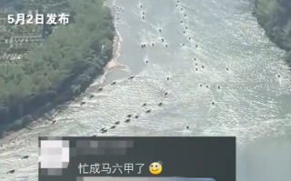 五一的桂林快忙成马六甲了 场面堪比周瑜调集东吴水军!
