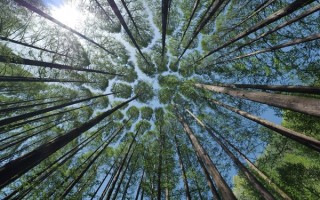 真正的变“废”为宝！科学家新研究：人类尿液可生产氮肥！