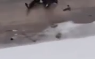 小伙江滩滑雪不慎掉入江中 水域较浅自行脱险！