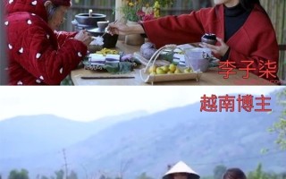 越南模仿李子柒的博主也停更了三年：前段时间刚回归！