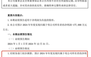 大众安徽销量不佳：江淮汽车2024业绩由盈转亏！