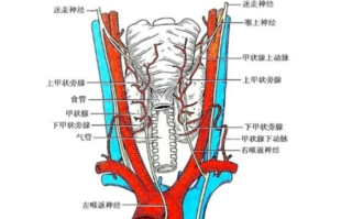 女生唱歌突然跑调查出恶性肿瘤：已成功切除恢复！