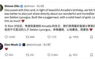 身体力行：马斯克第14个孩子出生！