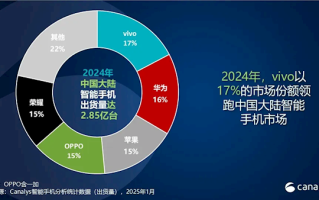 2024中国手机年度销量排名：vivo以17%份额夺魁 连续第4年国产第一 成功靠本分!