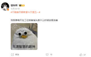 网友节后开工出现“戒断反应” 医生建议：上班前三天少干活！