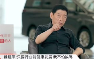 魏建军：只要行业健康发展 我挨骂也值！
