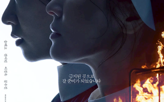 韩国网友抵制宋慧乔新片：用子宫封锁恶魔对女性不尊重 评论炸锅了！