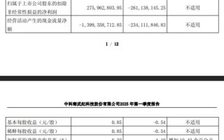 国产AI芯片第一股 寒武纪2025年Q1营收大涨42倍！扭亏为盈！