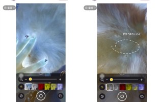 网友发现iPhone能检查虫子 苹果回应：放大器无此功能！