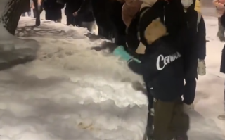 小孩哥夹雪熊哄大学生忙成流水线 网友：最清澈的两个群体相遇了！