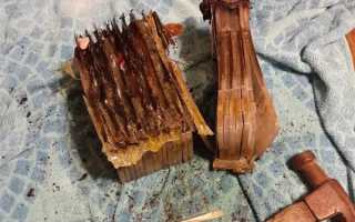 Switch卡带经历火灾后毫发无损 网友感叹：仁坚强！