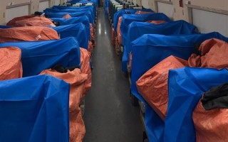 广东荔枝150万吨大丰收 高铁都用上了：每节车厢可装2.5吨！