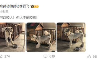 比亚迪李云飞连发两条微博：狗可以咬人但人不能咬狗 鬼吹灯！