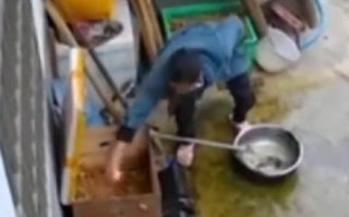 家中无人邻居疑似上门偷鸡偷蛋 去年拿走过几次蛋！