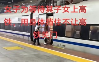 女子伸腿强行阻止高铁关门！官方通报：相关部门已介入调查！