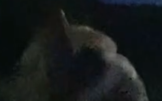 男子因看电影打呼噜遭暴打 网友热议！