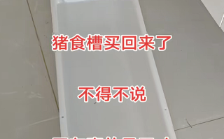 女子花几十块买猪食槽收纳孩子玩具：不照常理出牌更好用！