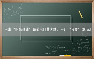 日本“阳光玫瑰”葡萄出口量大跌：一斤“只要”30元！