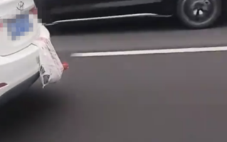 国庆长假返程的后备箱：有人把鸡鸭挂车上 车箱被塞满是父母沉甸的爱！