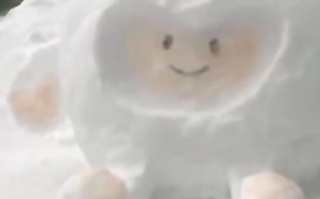 车主在车上堆雪人 女子拍照后踢坏引众怒！