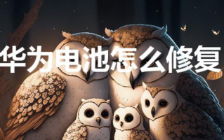 华为电池怎么修复（华为手机电池怎么修复）