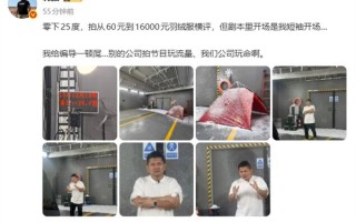 韩路整活：零下25℃横评60到16000元羽绒服 穿短袖开场 ！