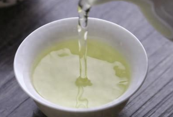 苦丁茶的功效与作用是什么（哪几类人群不宜饮用苦丁茶）-第1张图片