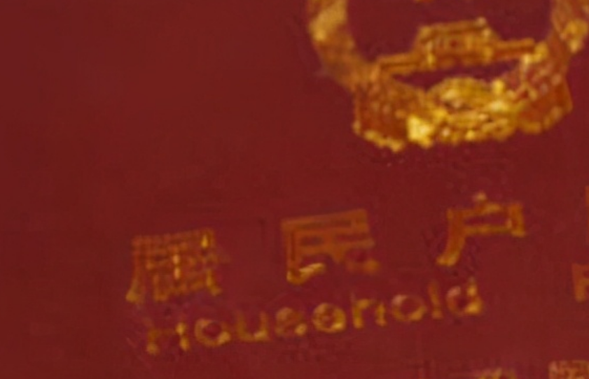 没结婚证怎么给孩子上户口（孩子出生多久必须上户口呢）-第1张图片
