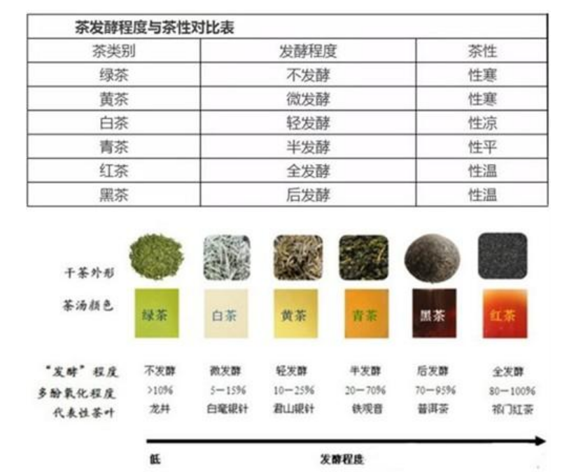 全发酵茶有哪些品种（全发酵茶与半发酵茶之间的区别）-第1张图片