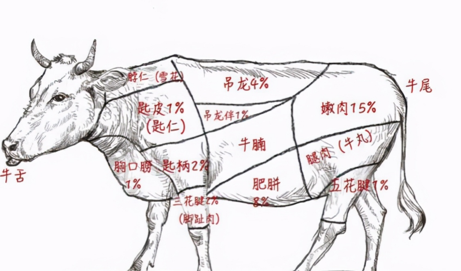 三花趾是牛的哪个部位（三花趾和五花趾有什么区别）-第1张图片