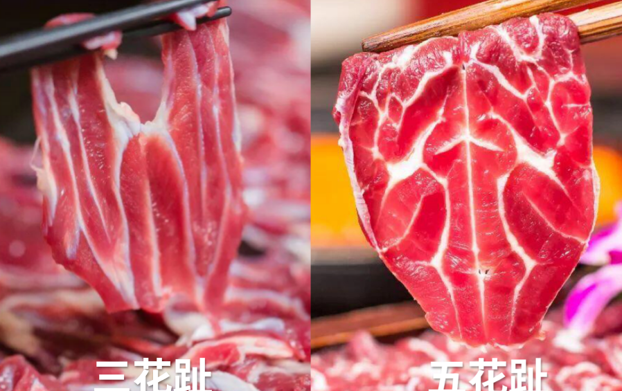三花趾是牛的哪个部位（三花趾和五花趾有什么区别）-第2张图片