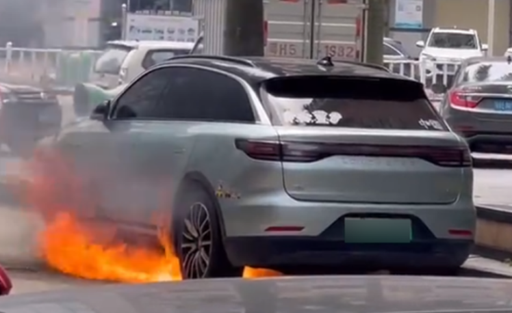 一零跑汽车路边自燃：底盘突然爆出明火！-第1张图片